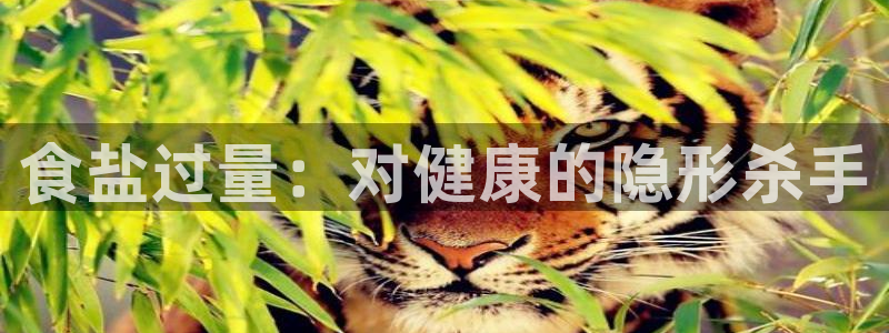 威九国际如何下载