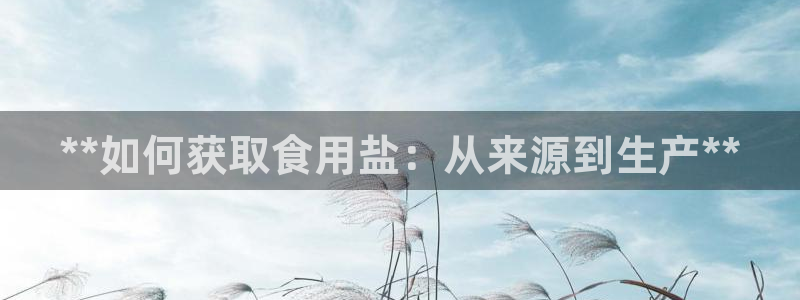 威九国际FT
