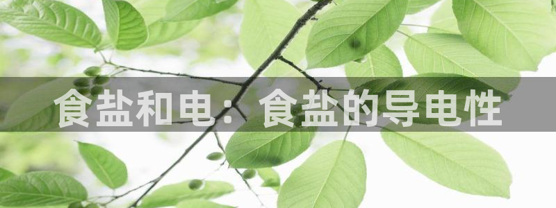 威九国际电视