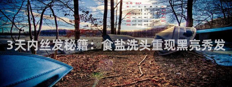 威九国际78mb游戏