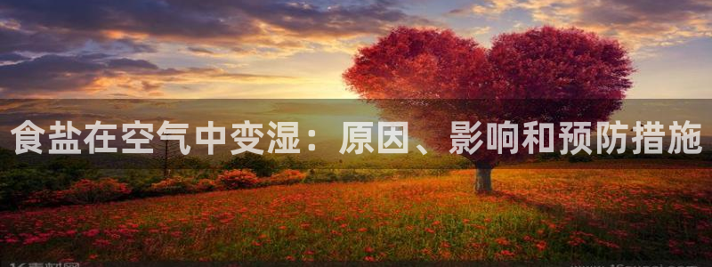 威九国际mb