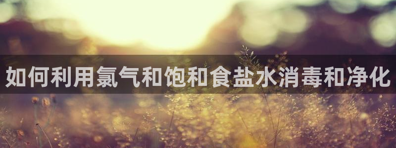 威九国际v8