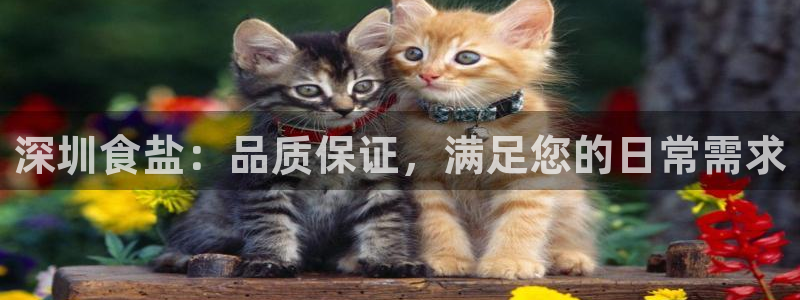 威九国际里的长头发帅哥名字