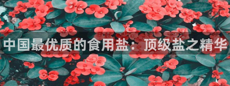 威九国际女演员好漂亮