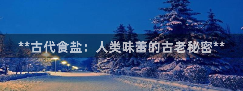 威九国际软件公司简介