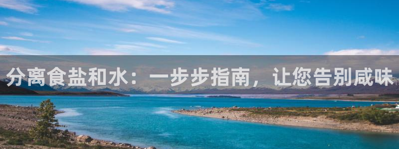 威九国际
