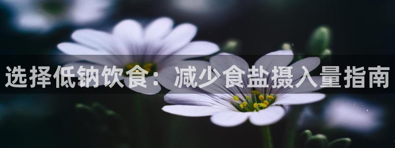 威九国际网站客服电话多少号码