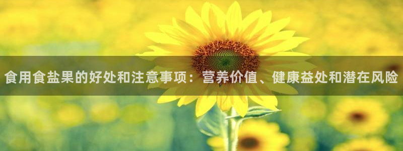 威九国际网站入口官网游戏推荐