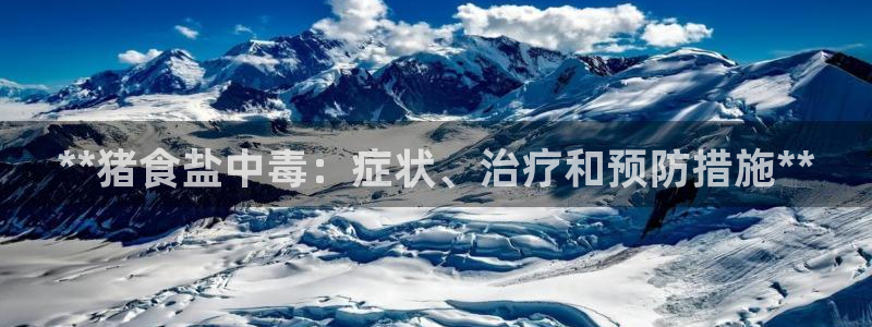 威九国际66m66官网