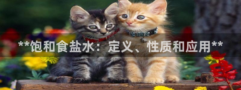 威九国际电影HD