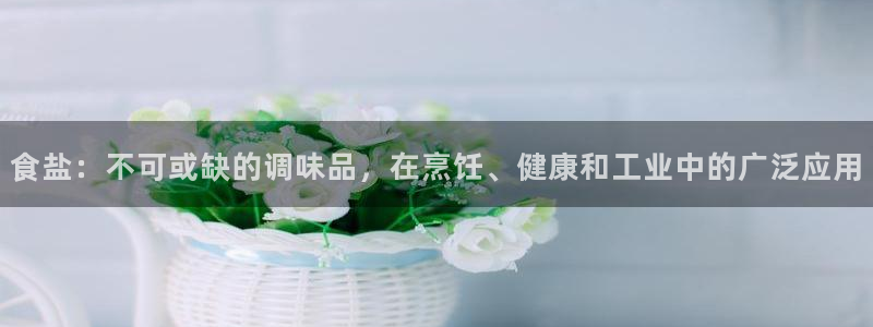 威九国际网站怎么样