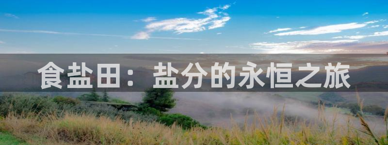 威九国际电影HD