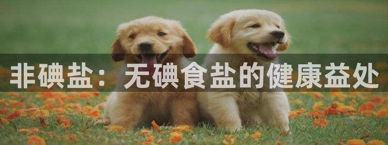 威九国际官方下载