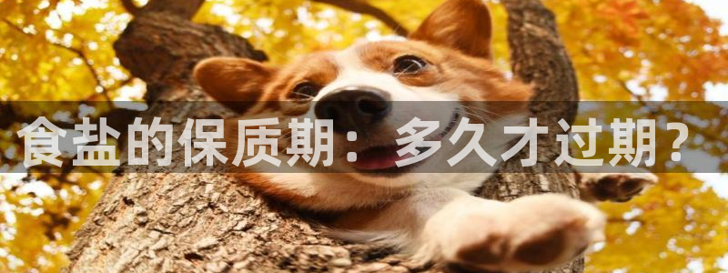 威九国际网站入口rdquo