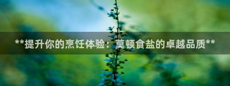 威九国际app网站安全吗
