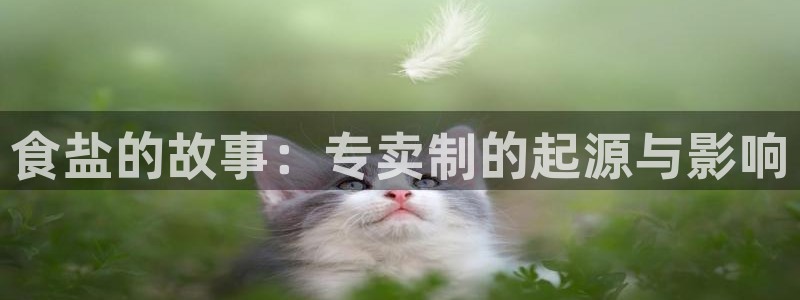 威九国际APP大全