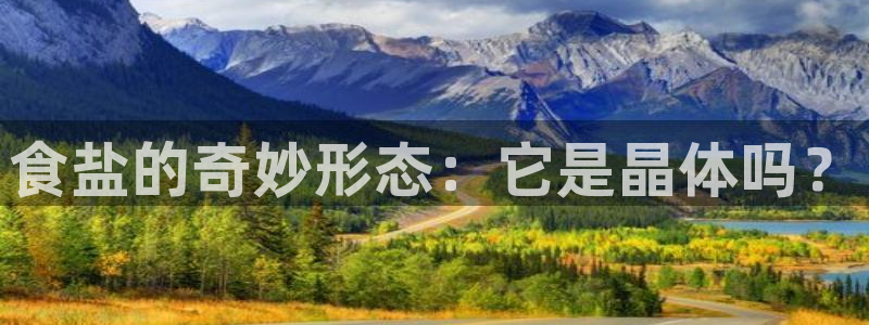 威九国际留学