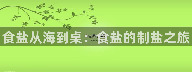 威九国际客服电话号码
