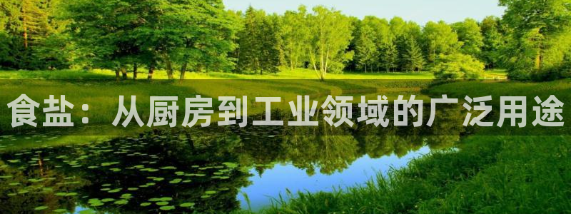 威九国际78