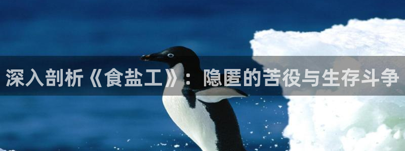 威九国际fX8x