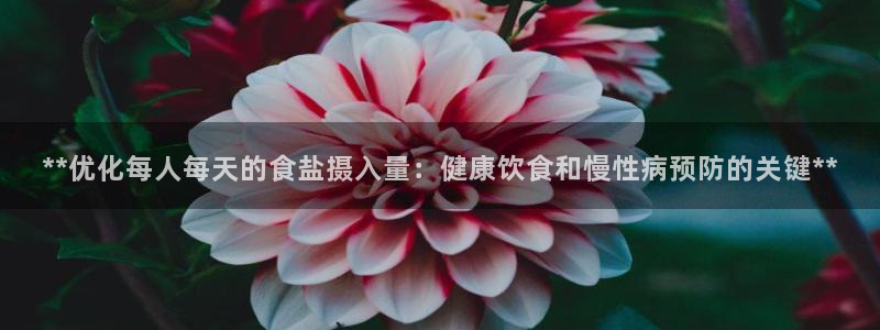 威九国际男演员