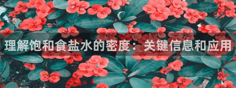 威九国际EVA0001