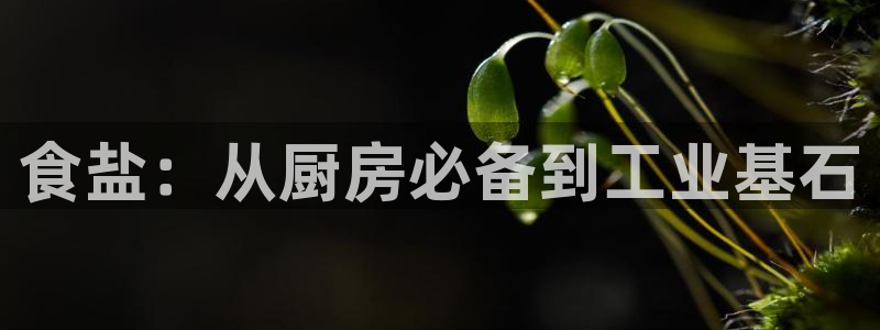 威九国际宣传片