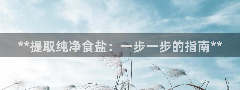 威九国际MM