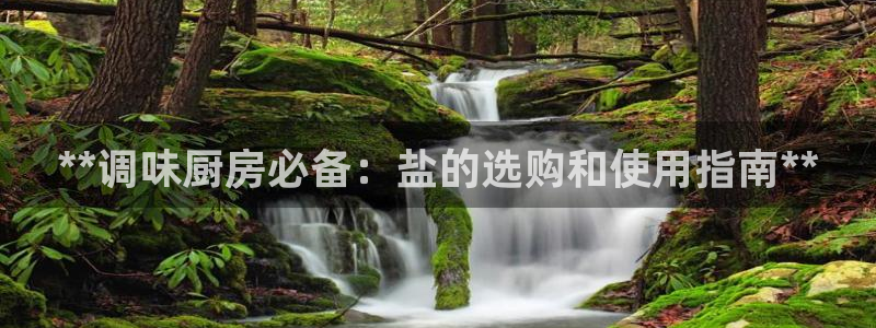 威九国际人民网招聘