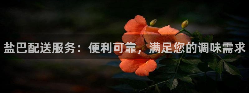 威九国际8ⅹ8x