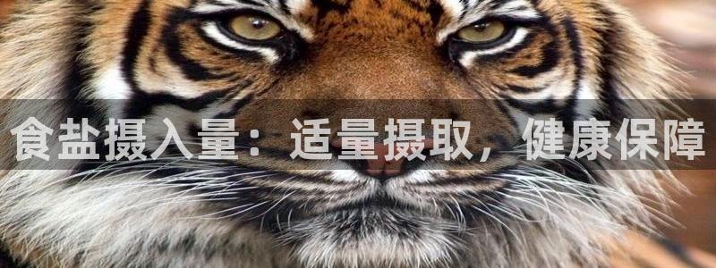 威九国际摩托电影HD
