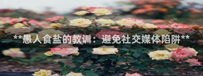 保定威九网络科技有限公司是干嘛的