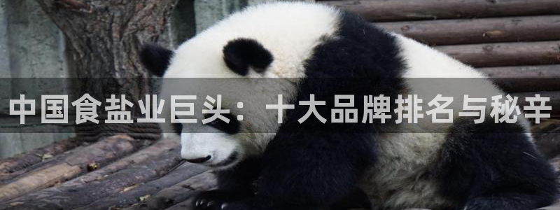 威九国际网站入口官网免费