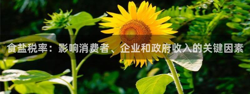 威九国际精免费下载