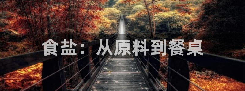 威九国际第一页