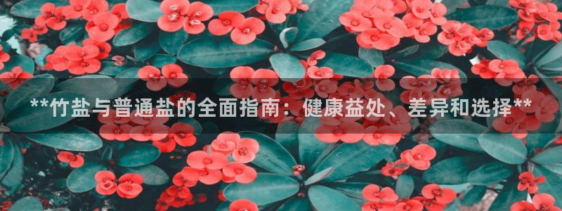 威九国际旗下艺人都有谁