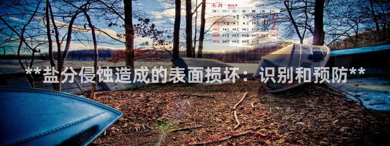 威九国际66m官网版
