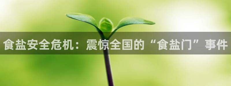 威九国际ppt官网