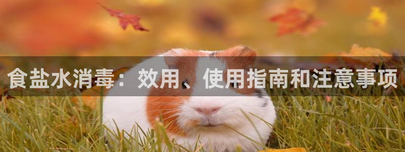 威九国际全国空降
