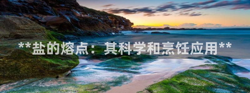 威九国际网站是多少