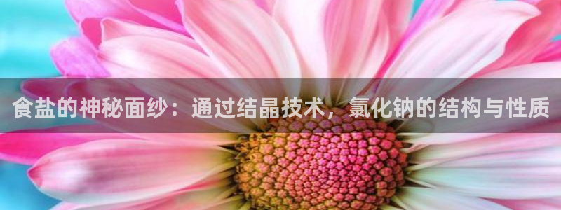 威九国际网站客服电话多少号码