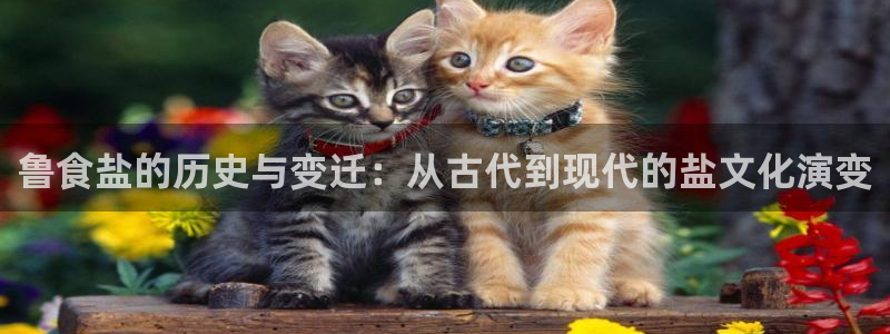 威九国际可以提现吗是真的吗