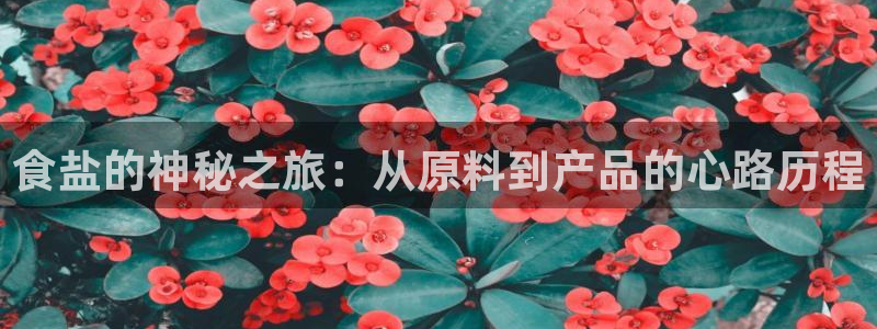 威九国际78mb42