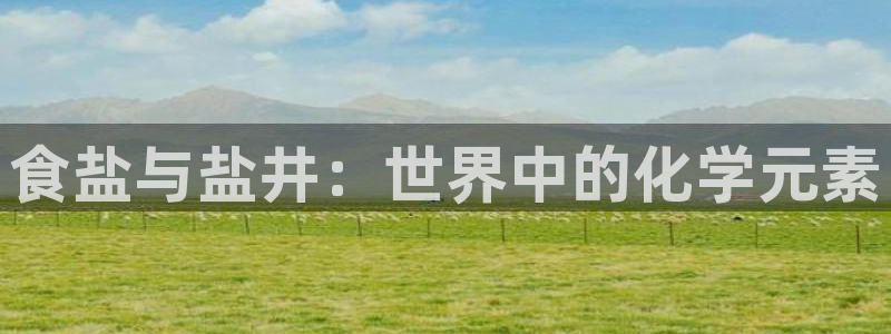 威九国际网站经常打不开网页