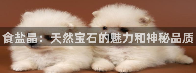 威九国际网站游戏