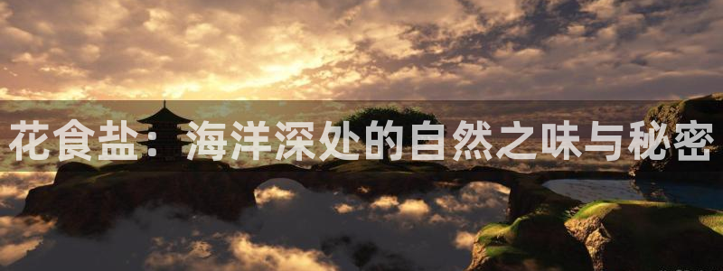 保定威九网络科技有限公司怎么样