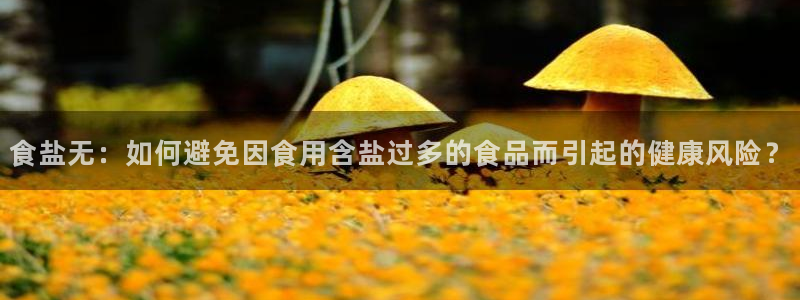 威九国际mv