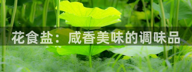 威九国际女神