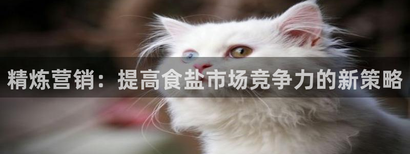 威九国际免费版