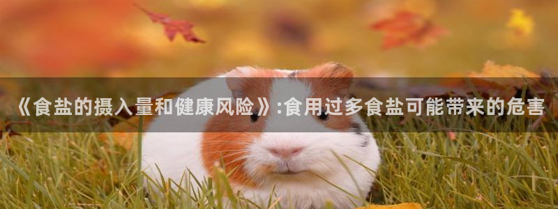 威九国际网站入口rdquo